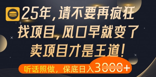 什么?25年你还在疯狂找项目做,醒醒吧,看完这些你全都懂了【揭秘】-蜜桃网创