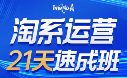 白凤电商·淘系运营21天速成班(更新3月)-蜜桃网创